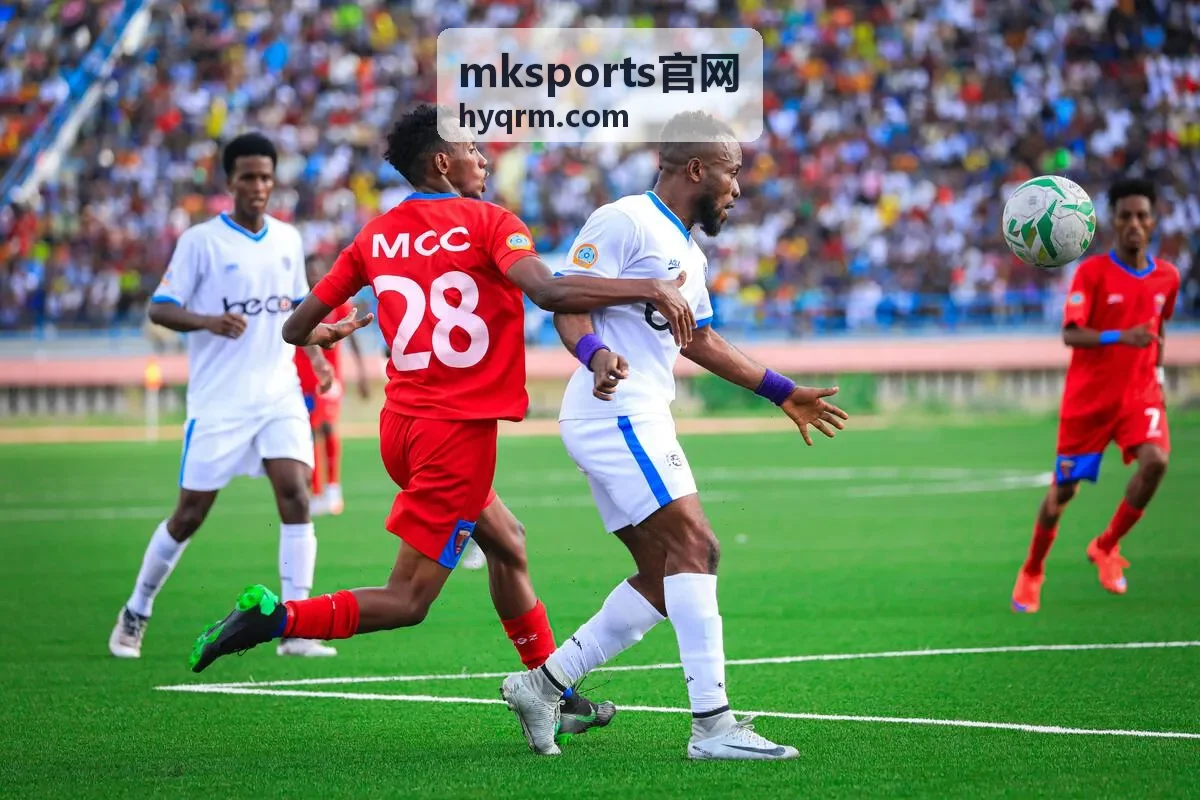 mksports官网 运动装备按项目配置的器材陈列